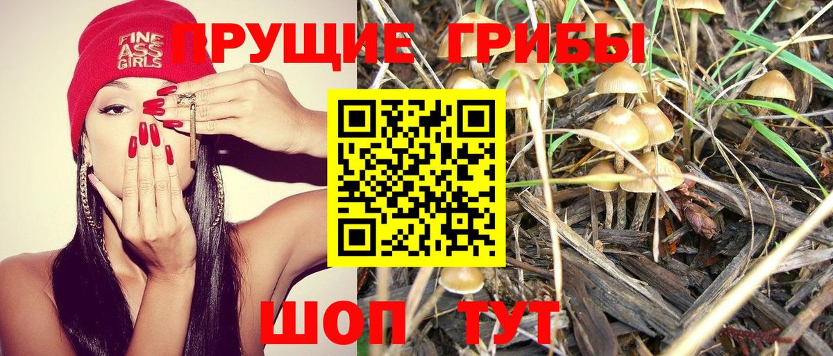 Мыски  Галлюциногенные грибы прущие грибы  Псилоцибиновые грибы Psilocybe  Вход с VPN 